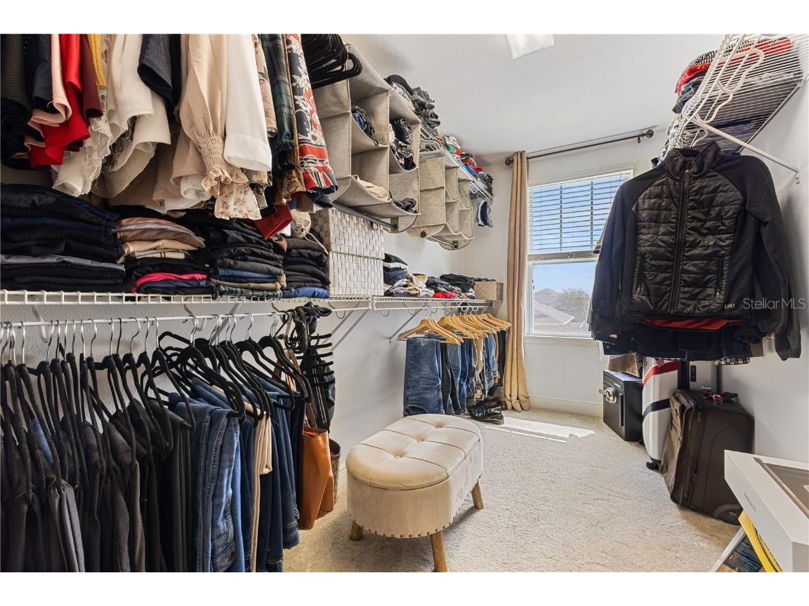 6360 Flat Lemon Drive Winter Garden FL 34787 O6341090 image52