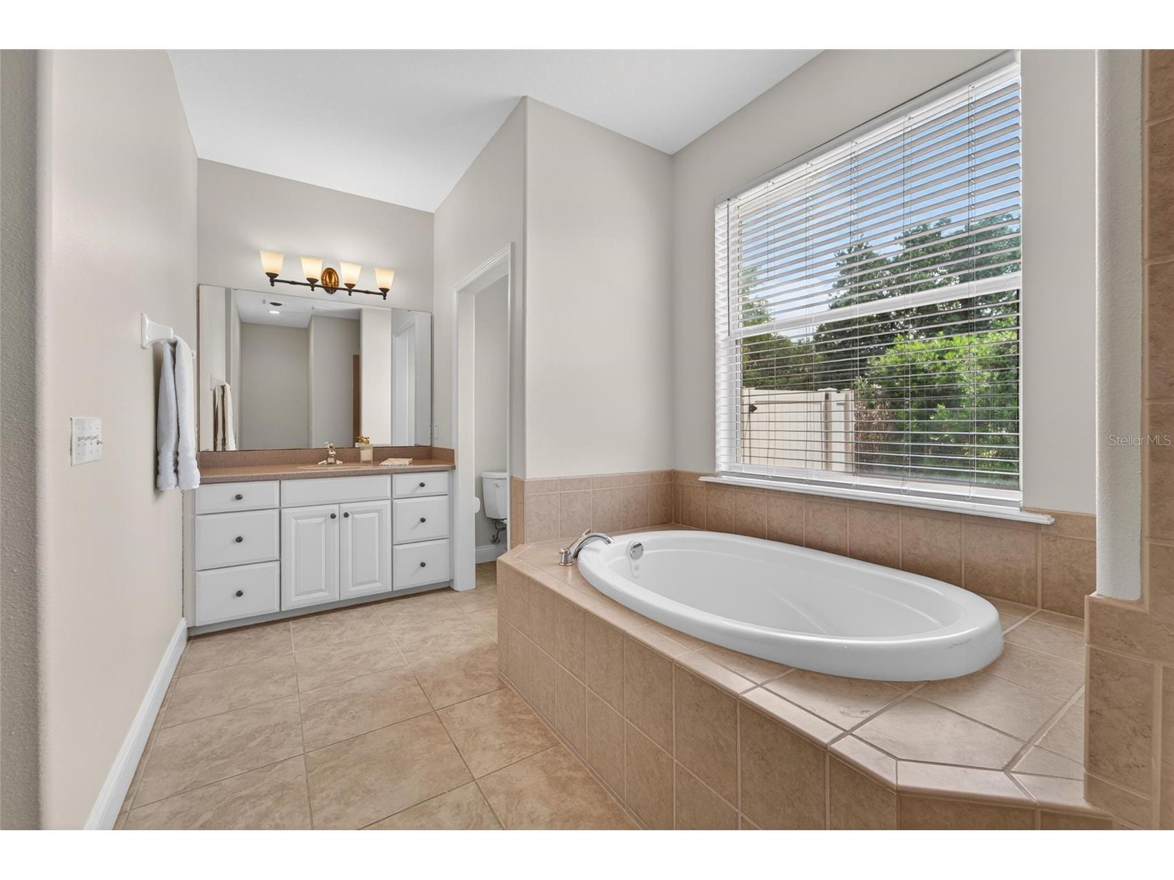 6360 Riverlake Court Bartow FL 33830 L4961327 image33