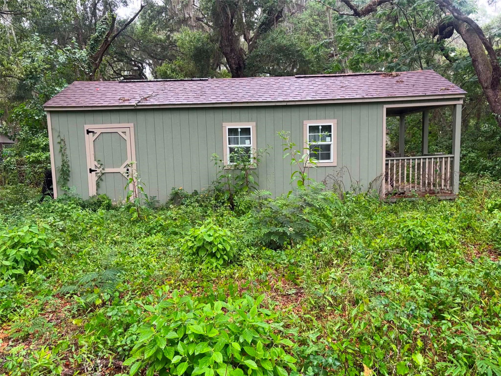 6360 SE 145th Place Summerfield FL 34491 D6147536 image2