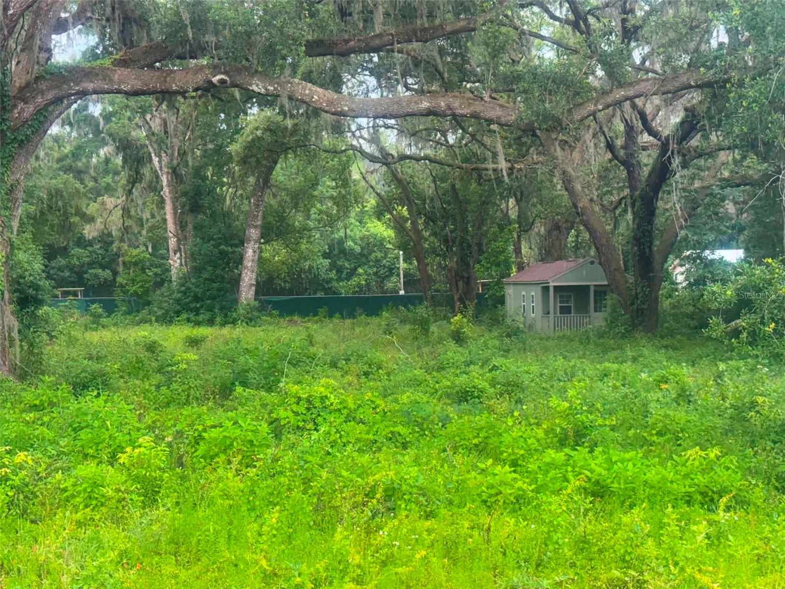 6360 SE 145th Place Summerfield FL 34491 D6147536 image4