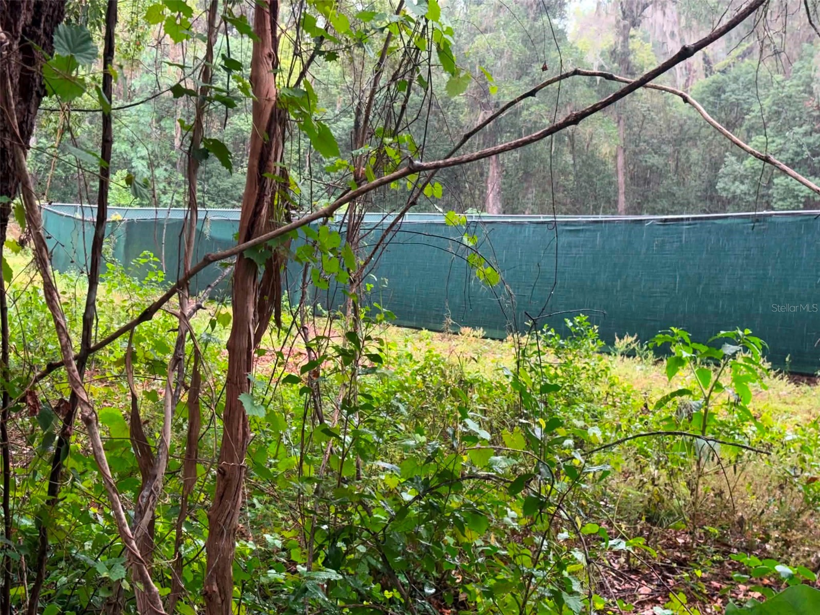 6360 SE 145th Place Summerfield FL 34491 D6147536 image5