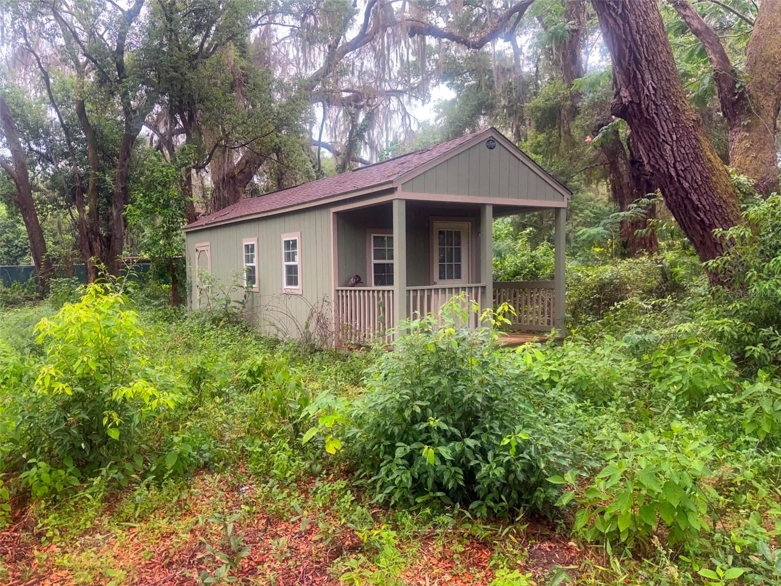 6360 SE 145th Place Summerfield FL 34491 D6147536 image6