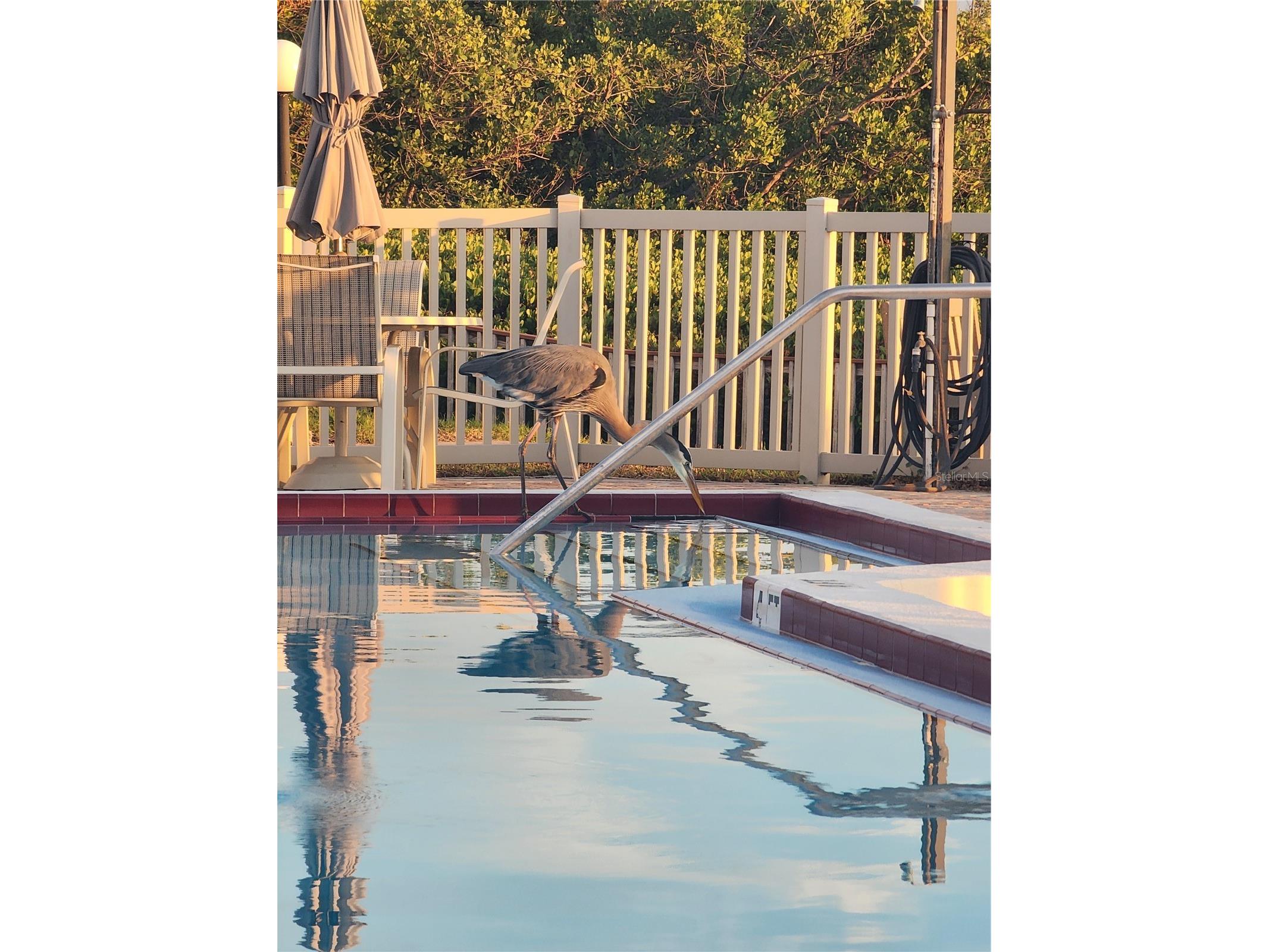 6361 Bahia Del Mar Boulevard #104 Saint Petersburg FL 33715 - BOCA CIEGA BAY TB8452457 image28
