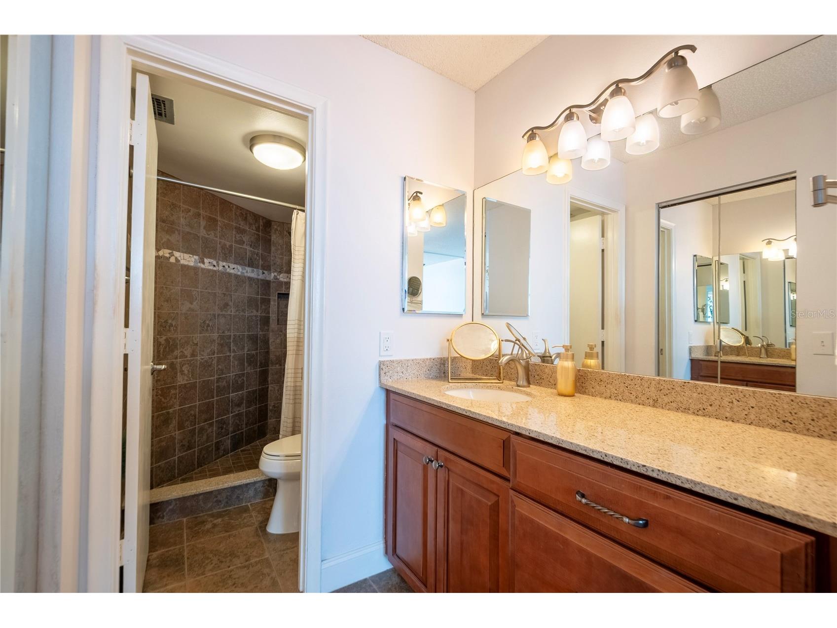 6361 Bahia Del Mar Boulevard #308 Saint Petersburg FL 33715 - BOCA CIEGA BAY TB8493882 image33