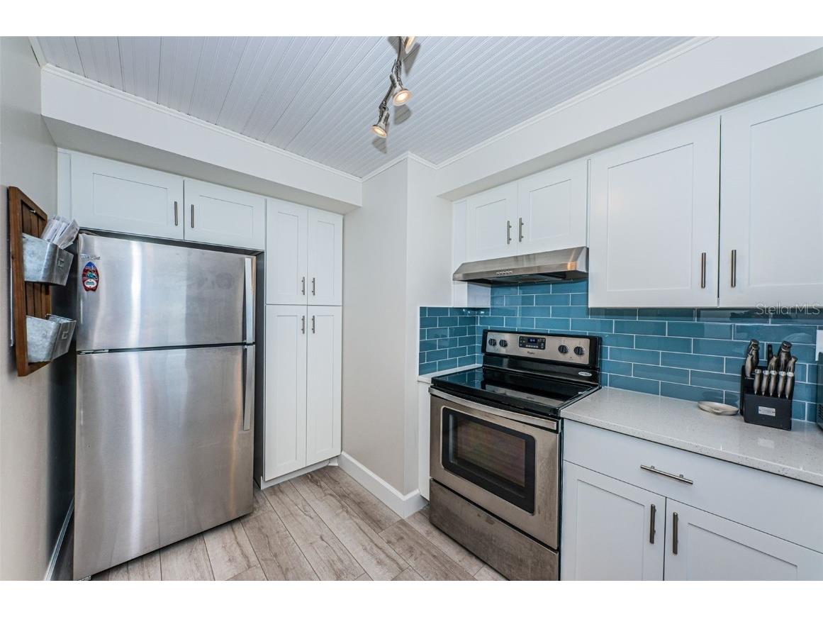 6361 Bahia Del Mar Boulevard #503 Saint Petersburg FL 33715 U8246398 image5