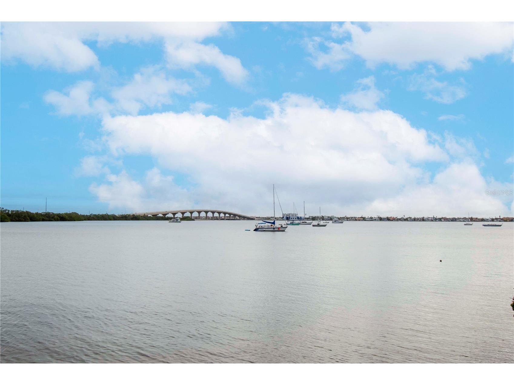 6361 Bahia Del Mar Boulevard #605 Saint Petersburg FL 33715 TB8324389 image26