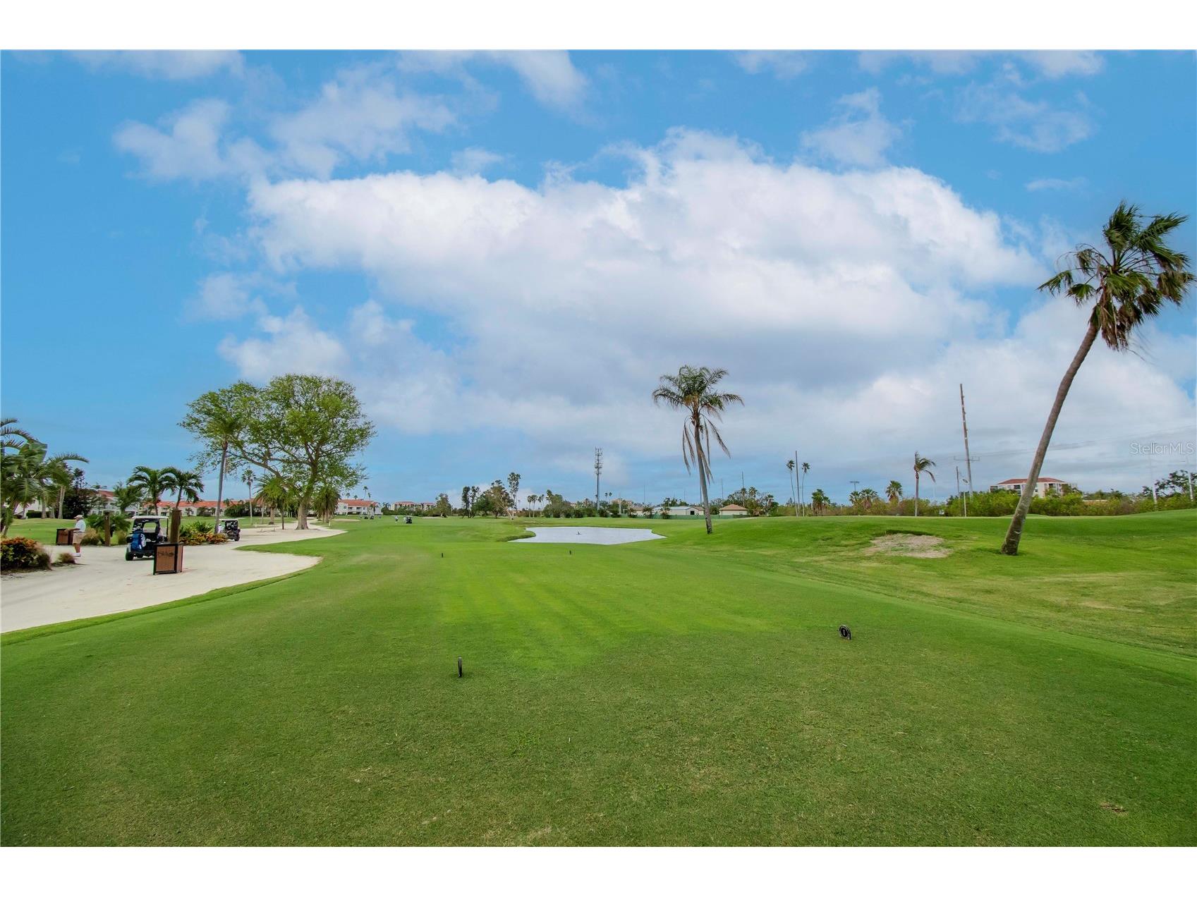 6361 Bahia Del Mar Boulevard #605 Saint Petersburg FL 33715 TB8324389 image28