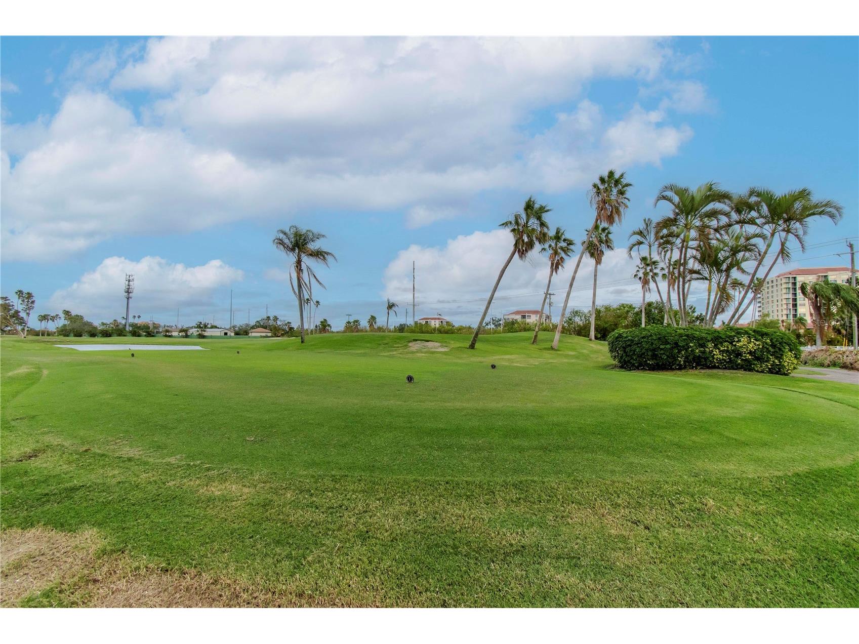 6361 Bahia Del Mar Boulevard #605 Saint Petersburg FL 33715 TB8324389 image29