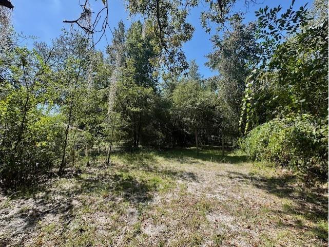 6361 N Keel Drive Hernando FL 34442 OM710546 image4