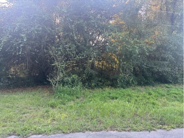 6361 N Keel Drive Hernando FL 34442 OM710546 image7