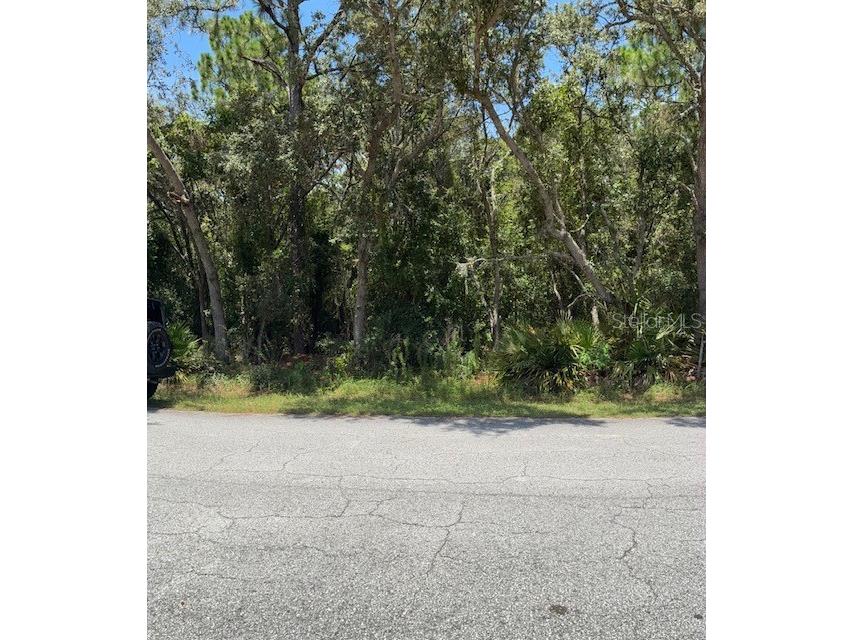 6361 W Appomattox Lane Homosassa FL 34448 TB8415915 image1