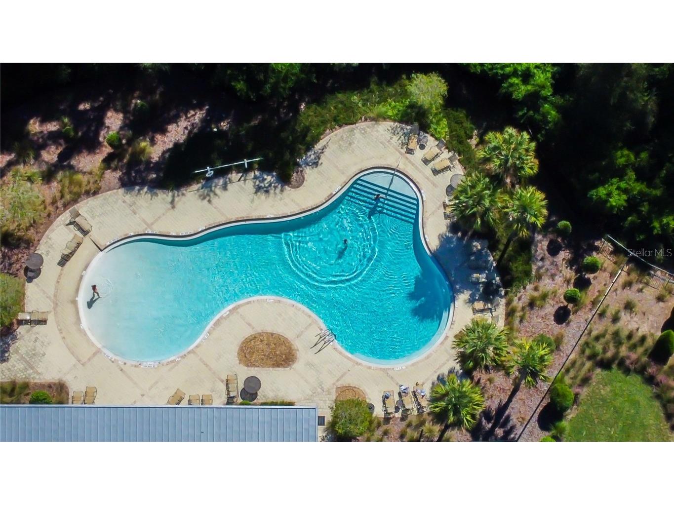 6362 Spider Lily Way New Port Richey FL 34653 TB8436241 image3