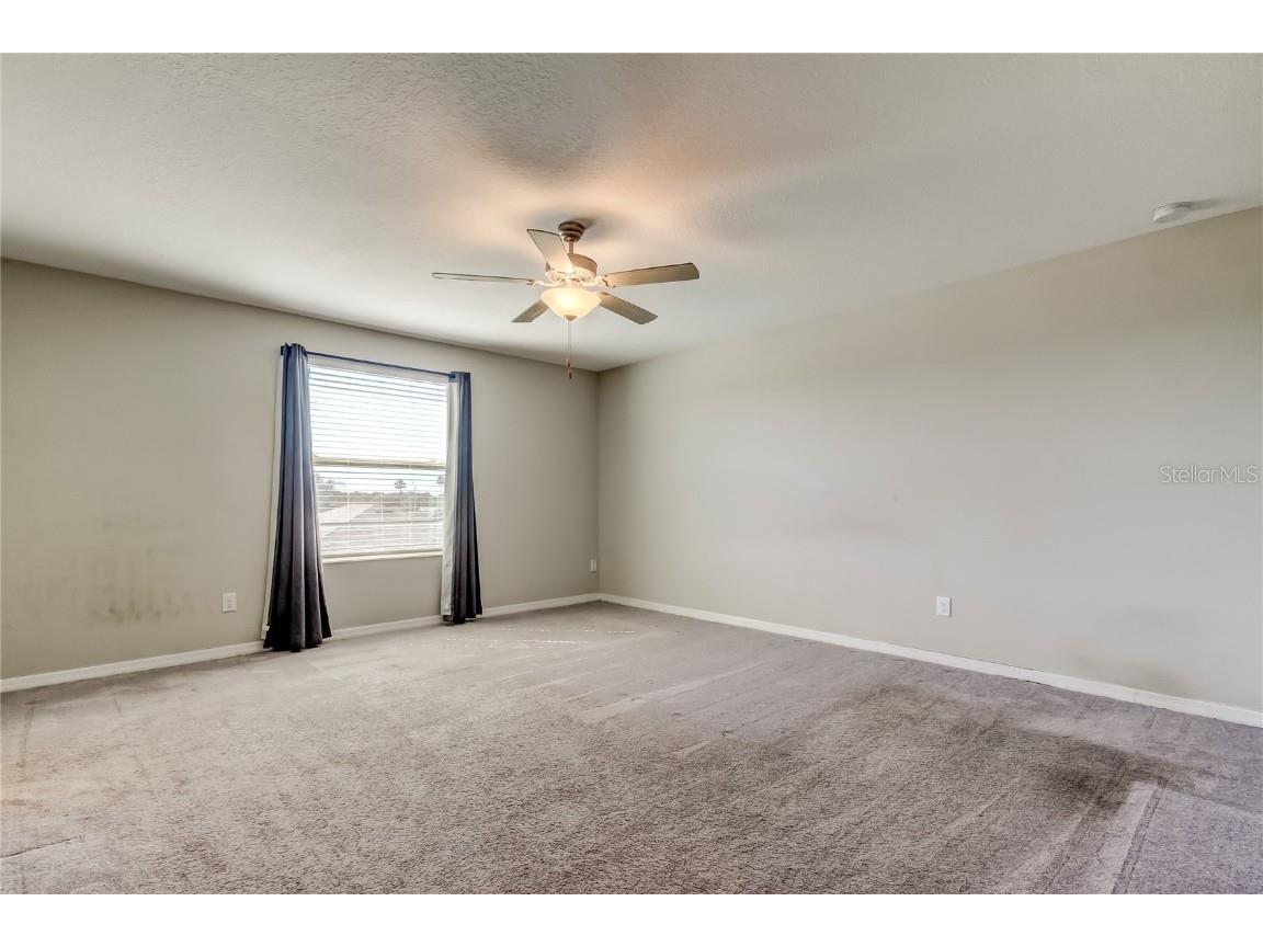 6362 Spider Lily Way New Port Richey FL 34653 TB8436241 image30