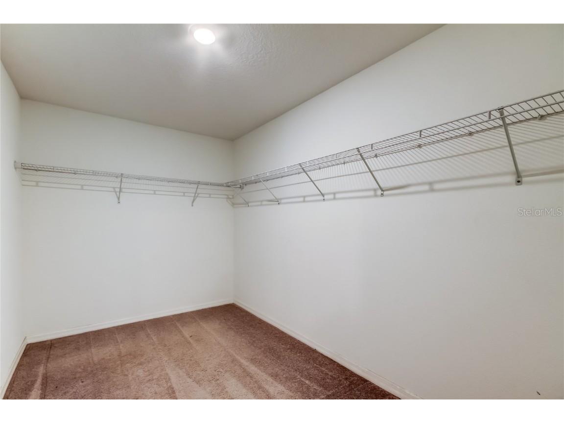 6362 Spider Lily Way New Port Richey FL 34653 TB8436241 image35