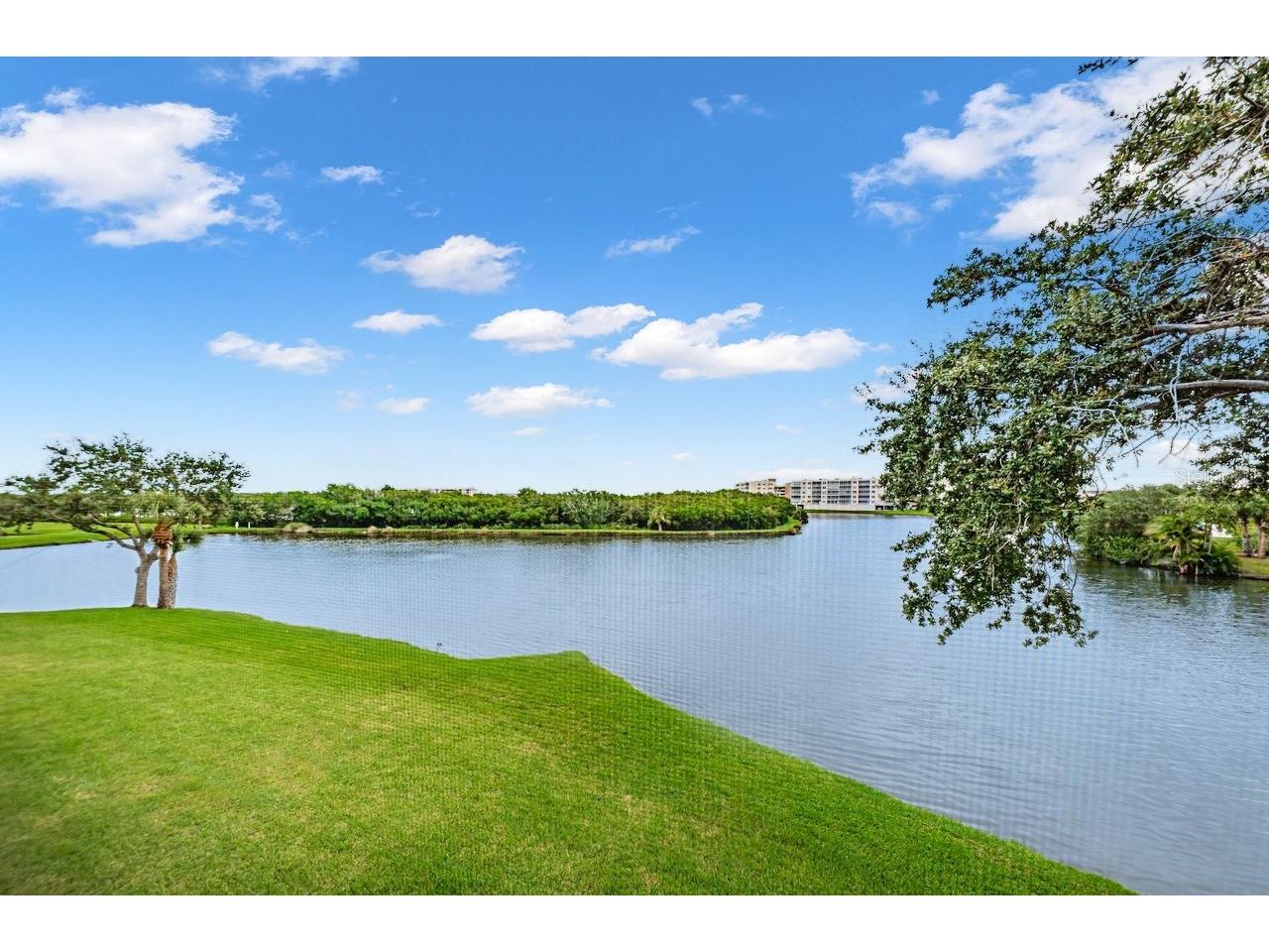 6363 99th Way N #12I Saint Petersburg FL 33708 - SNOWY EGRET LAKE TB8465915 image23