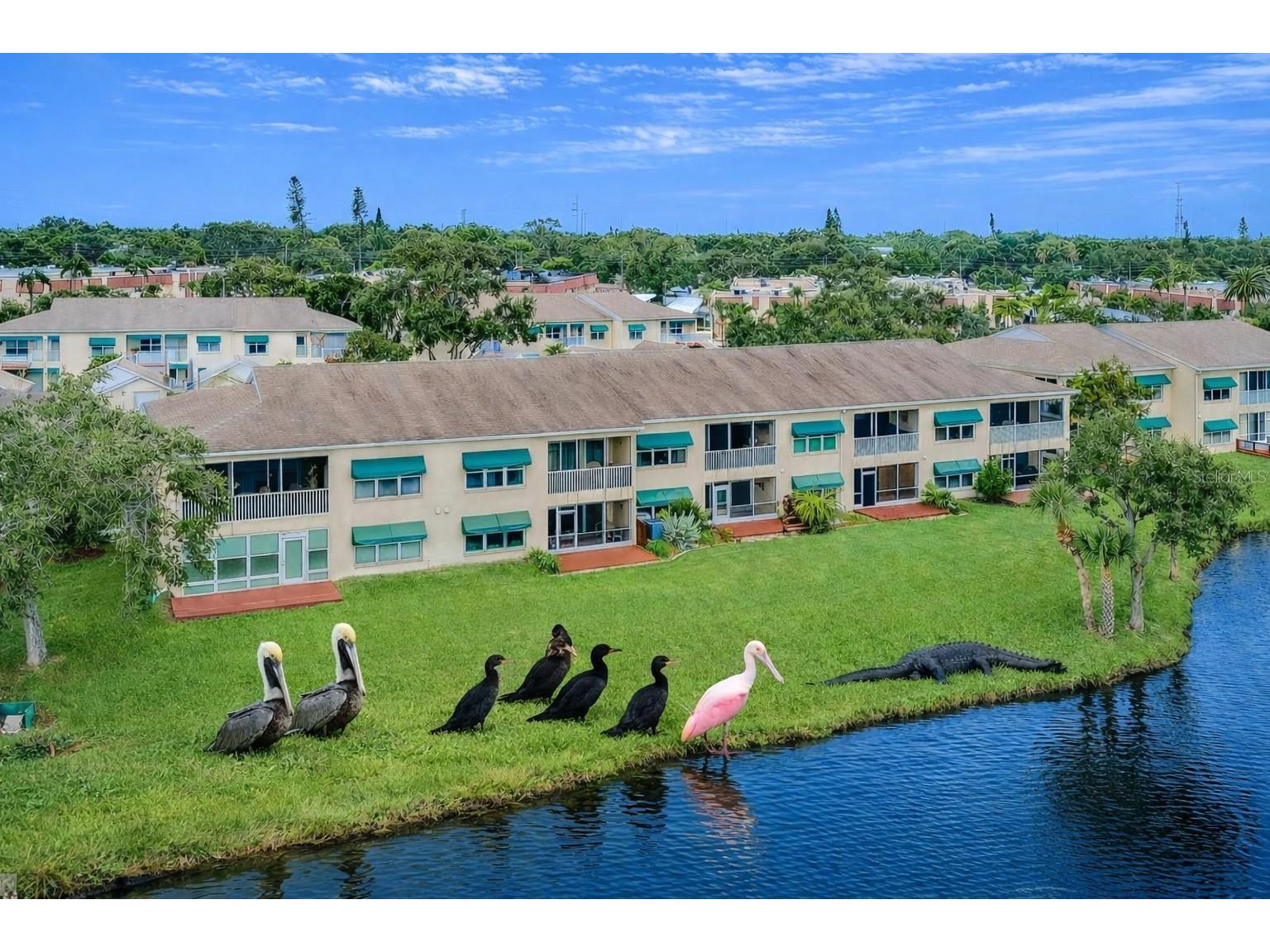6363 99th Way N #12I Saint Petersburg FL 33708 - SNOWY EGRET LAKE TB8465915 image37