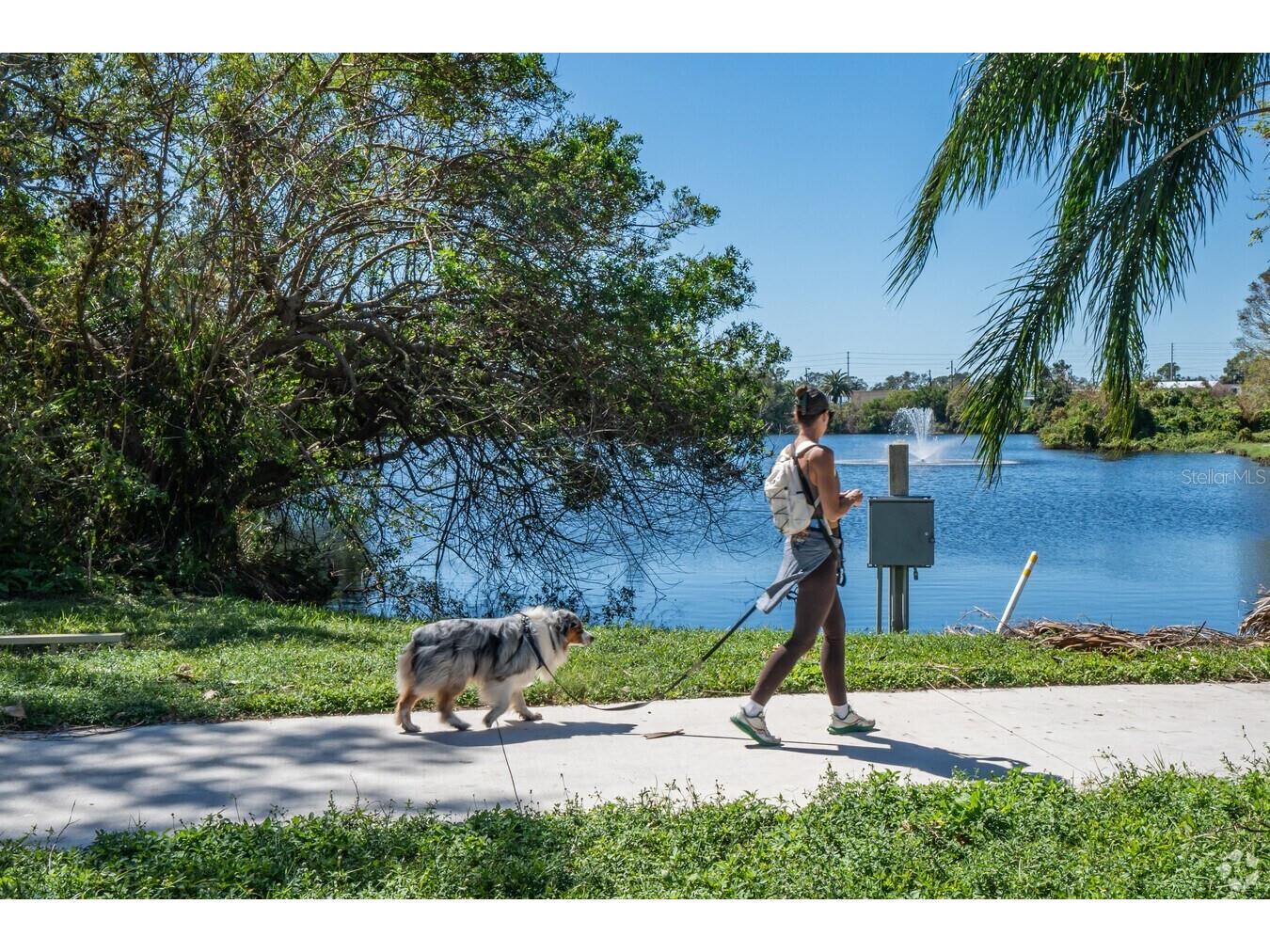 6363 99th Way N #12I Saint Petersburg FL 33708 - SNOWY EGRET LAKE TB8465915 image52