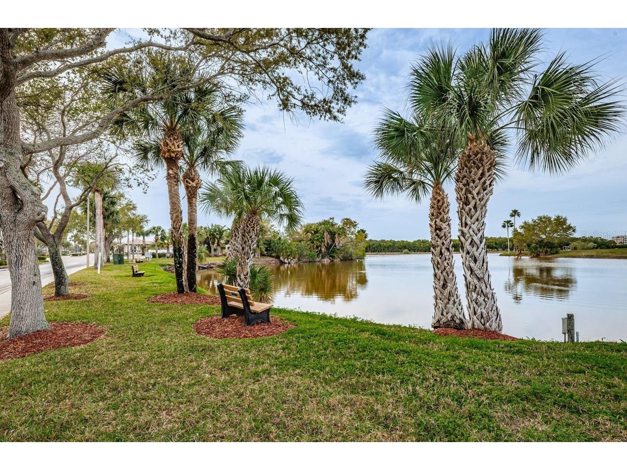 6363 99th Way N #12I Saint Petersburg FL 33708 - SNOWY EGRET LAKE TB8465915 image53