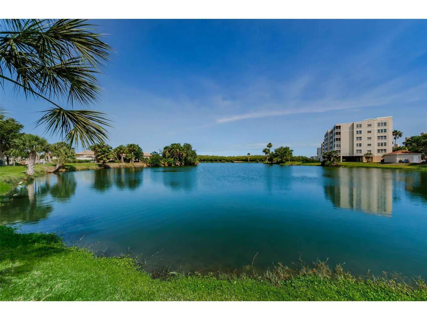 6363 99th Way N #12I Saint Petersburg FL 33708 - SNOWY EGRET LAKE TB8465915 image54