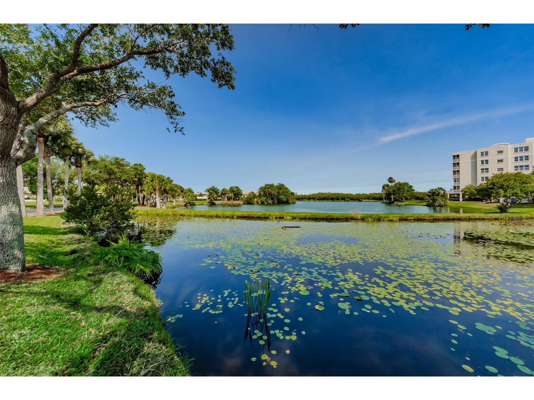 6363 99th Way N #12I Saint Petersburg FL 33708 - SNOWY EGRET LAKE TB8465915 image55