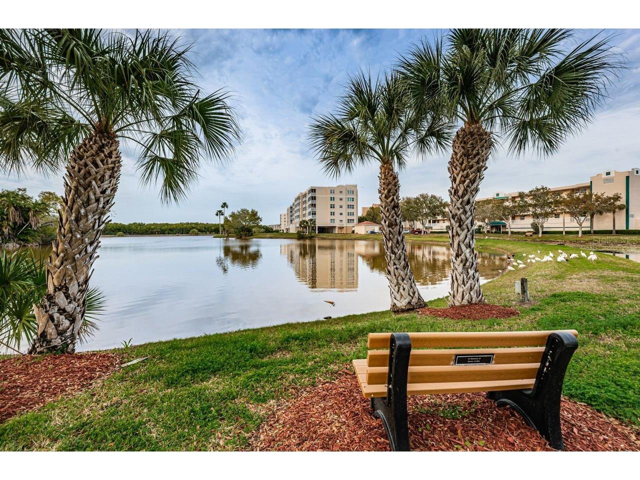 6363 99th Way N #12I Saint Petersburg FL 33708 - SNOWY EGRET LAKE TB8465915 image57