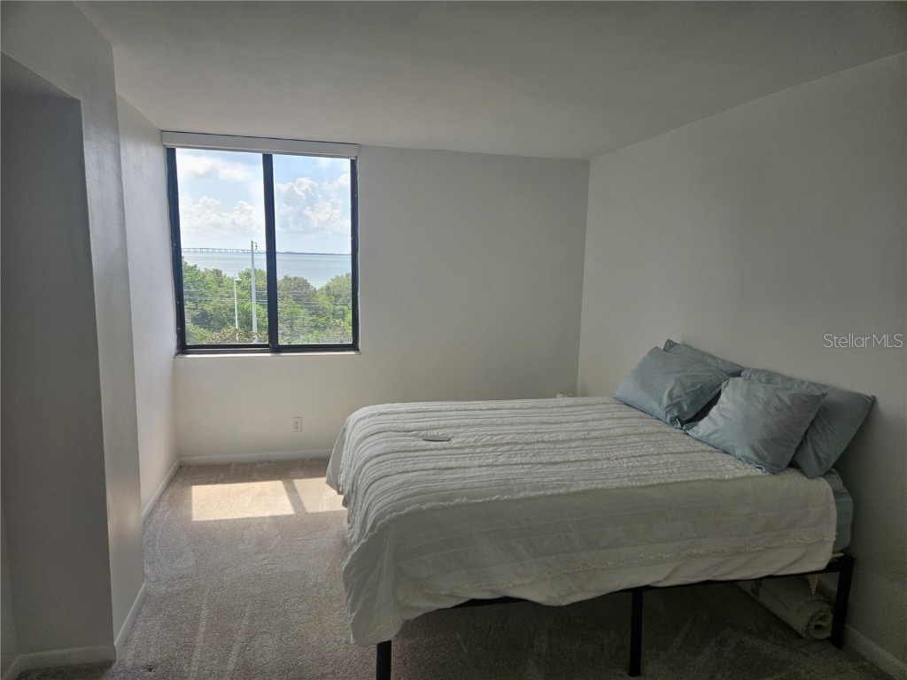 6365 Bahia Del Mar Blvd #506 Saint Petersburg FL 33715 - BOCA CIEGA BAY TB8446520 image20