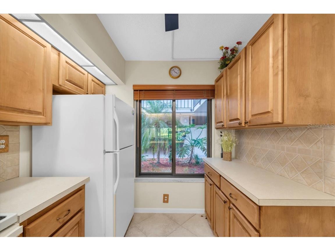 6365 Bahia Del Mar Boulevard #106 Saint Petersburg FL 33715 TB8443571 image10