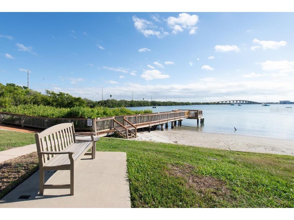 6365 Bahia Del Mar Boulevard #106 Saint Petersburg FL 33715 TB8443571 image30