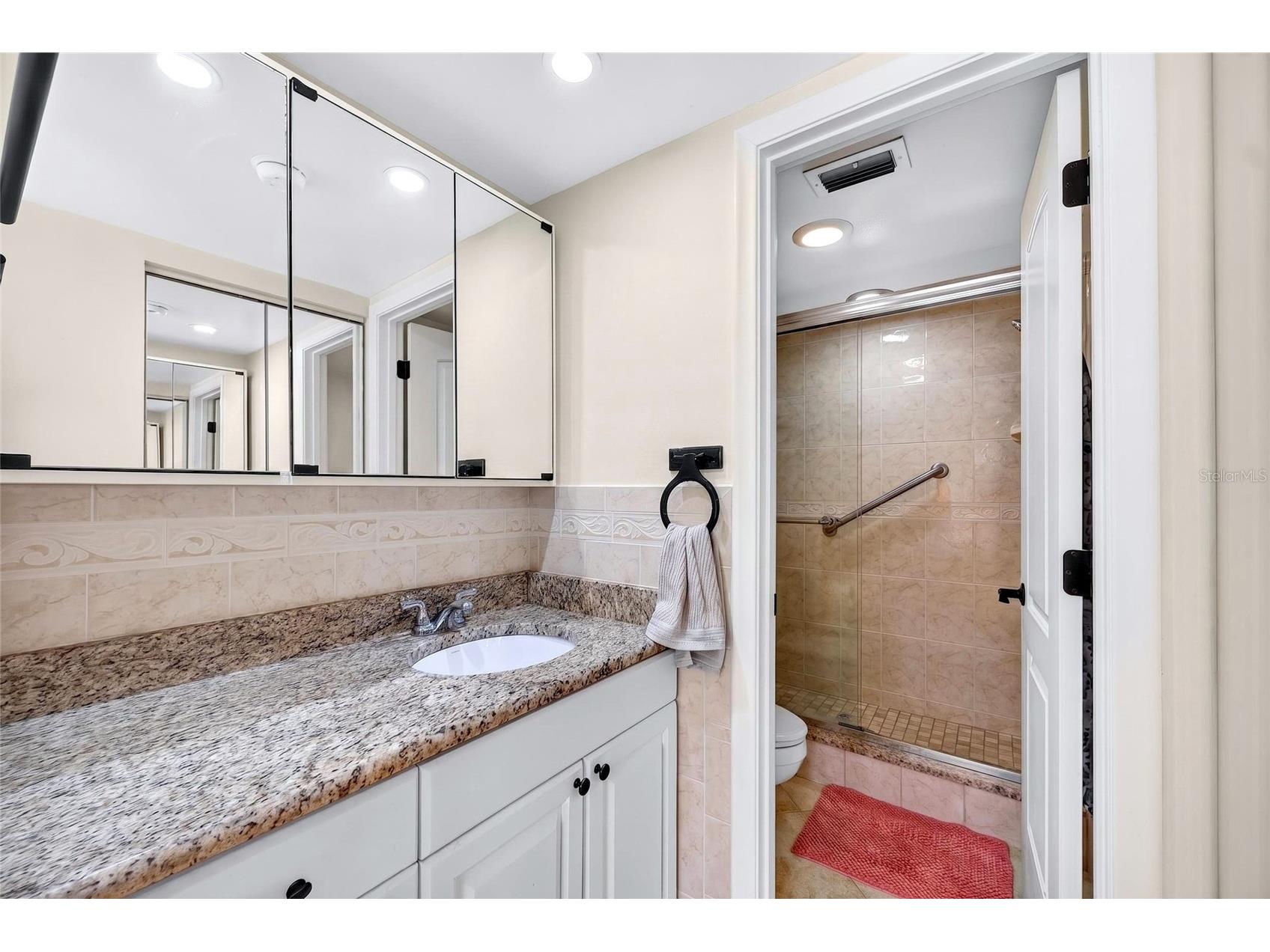 6365 Bahia Del Mar Boulevard #106 Saint Petersburg FL 33715 TB8516468 image29