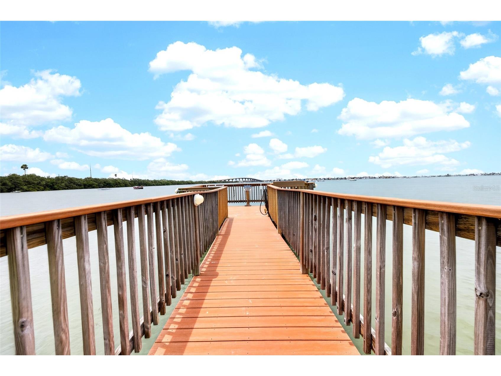 6365 Bahia Del Mar Boulevard #106 Saint Petersburg FL 33715 TB8516468 image41