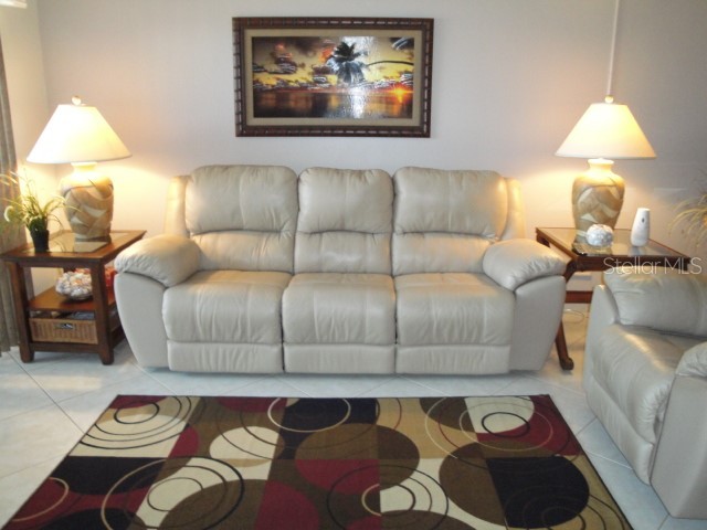 6365 Bahia Del Mar Boulevard #113 Saint Petersburg FL 33715 U8203353 image3