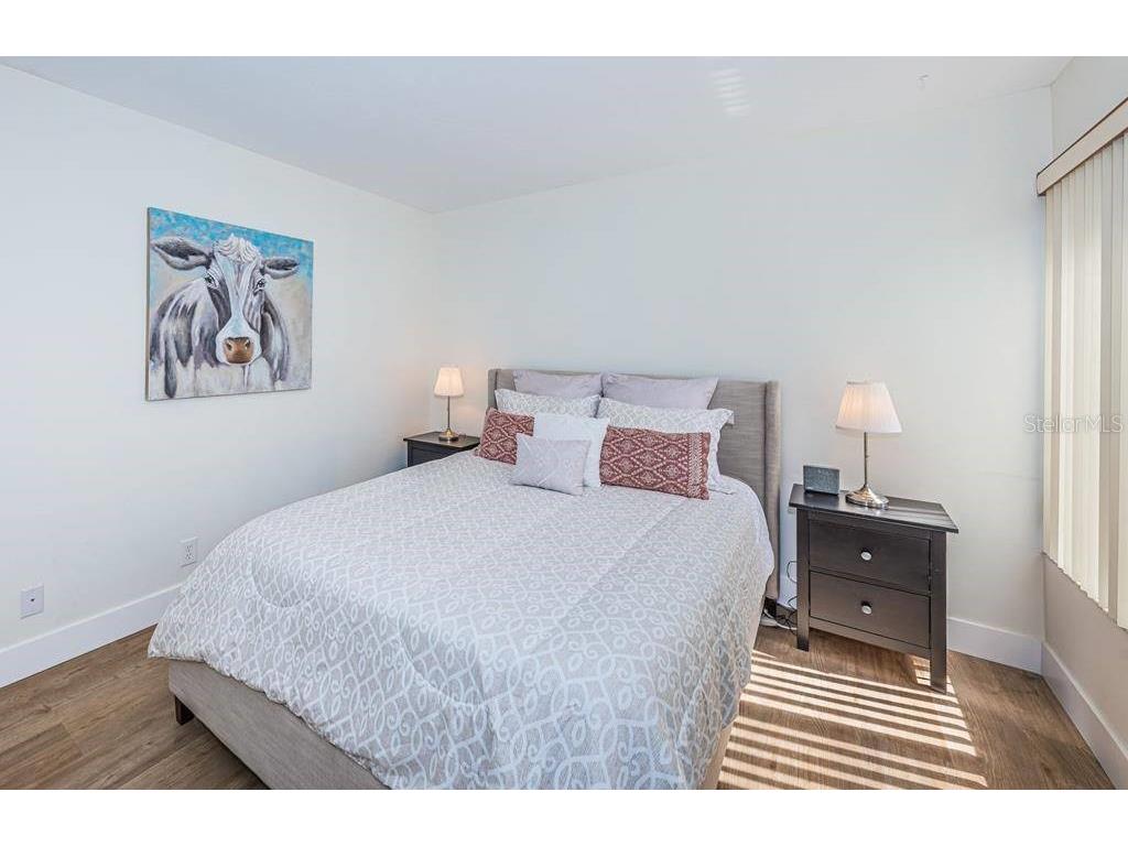 6365 Bahia Del Mar Boulevard #210 Saint Petersburg FL 33715 TB8474055 image11