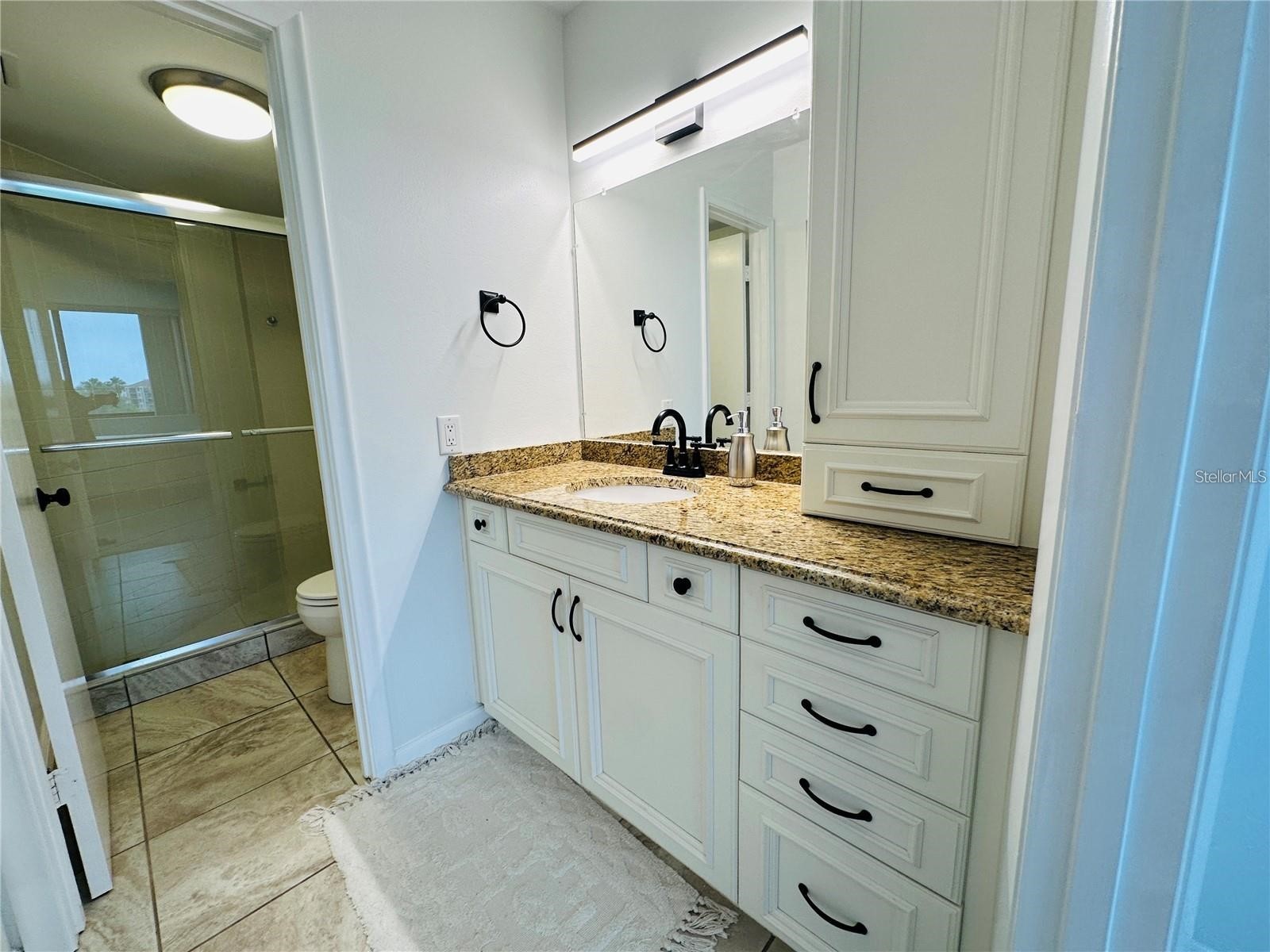 6365 Bahia Del Mar Boulevard #506 Saint Petersburg FL 33715 TB8471052 image16