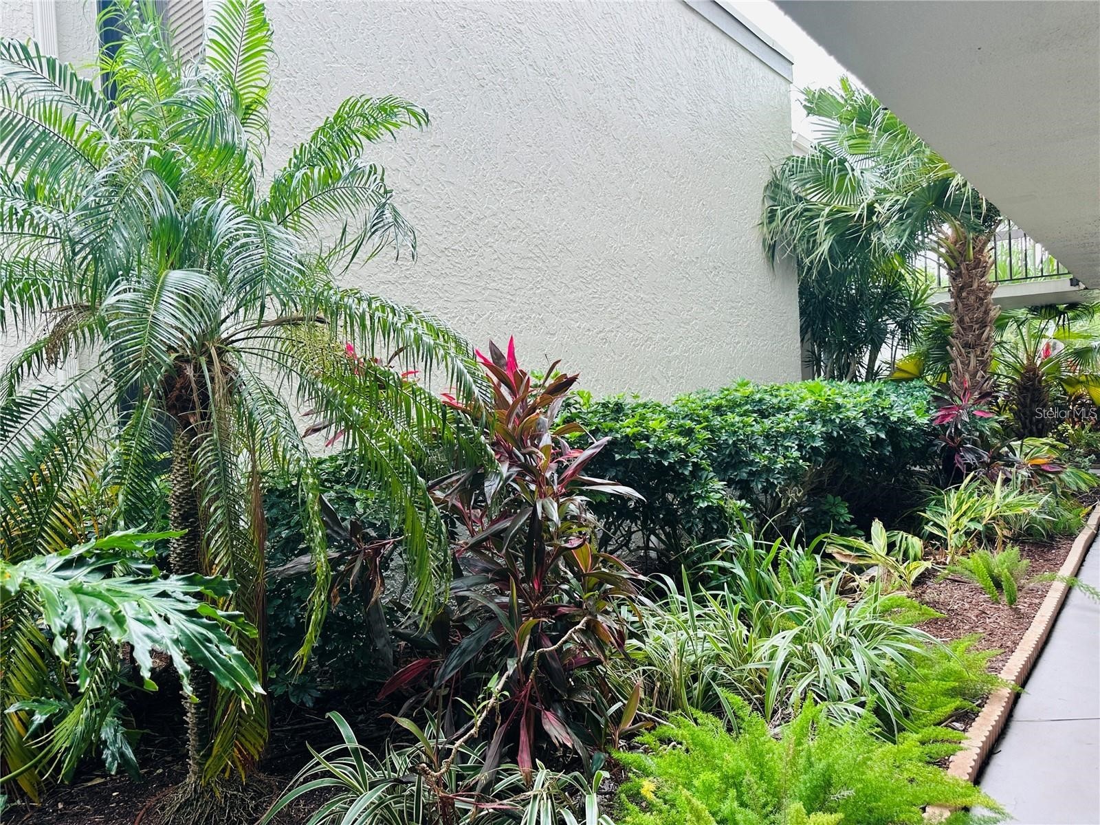 6365 Bahia Del Mar Boulevard #506 Saint Petersburg FL 33715 TB8471052 image42