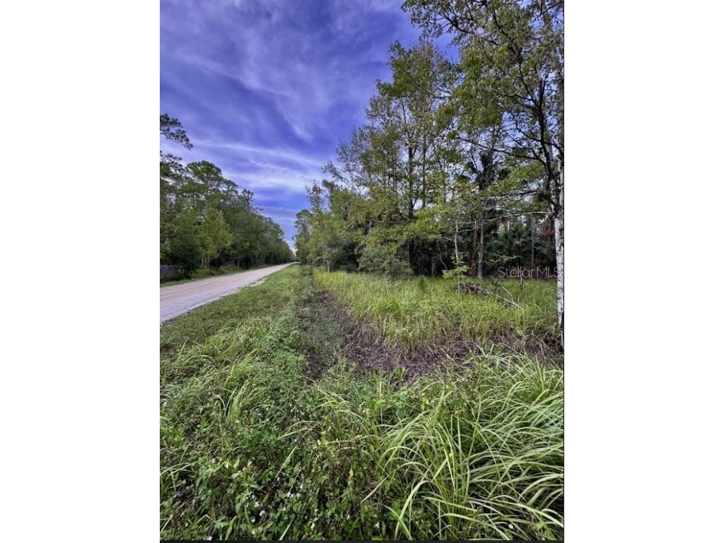 6366 Alder Avenue Bunnell FL 32110 OK224642 image1