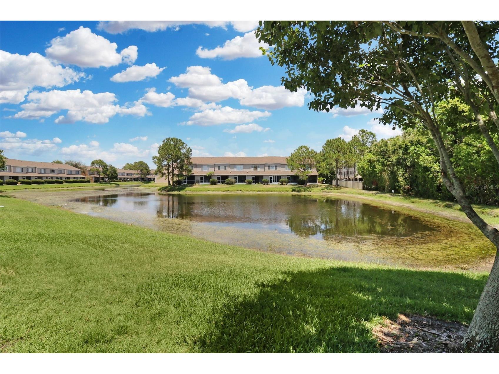 6367 Bayside Key Drive Tampa FL 33615 TB8513420 image22