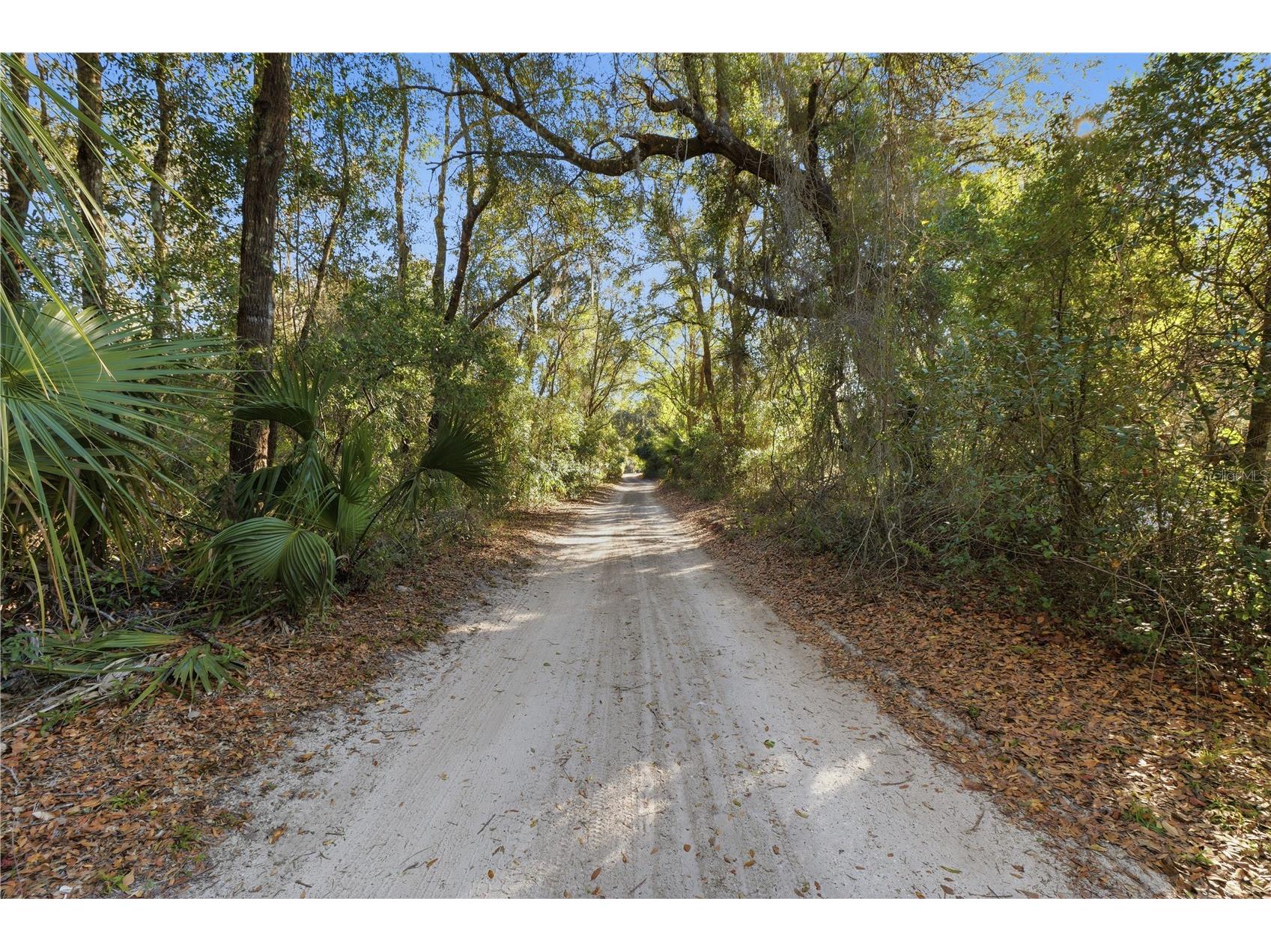 6368 E Grantham Court Hernando FL 34442 TB8484923 image47