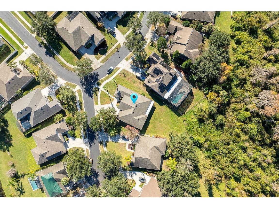 6368 Sedona Leaf Court Windermere FL 34786 - LAKE SPEER O6352634 image33