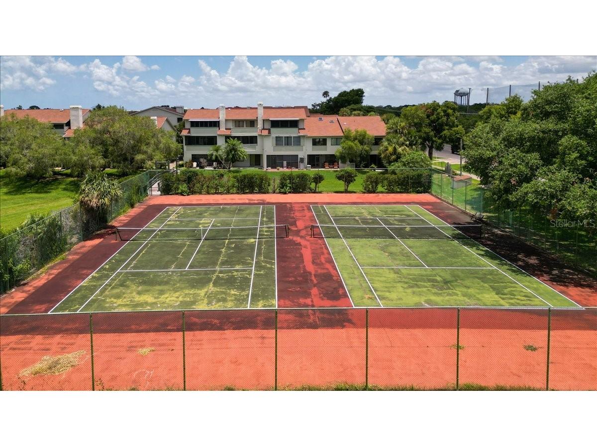 637 Drake Lane N Dunedin FL 34698 TB8446539 image49