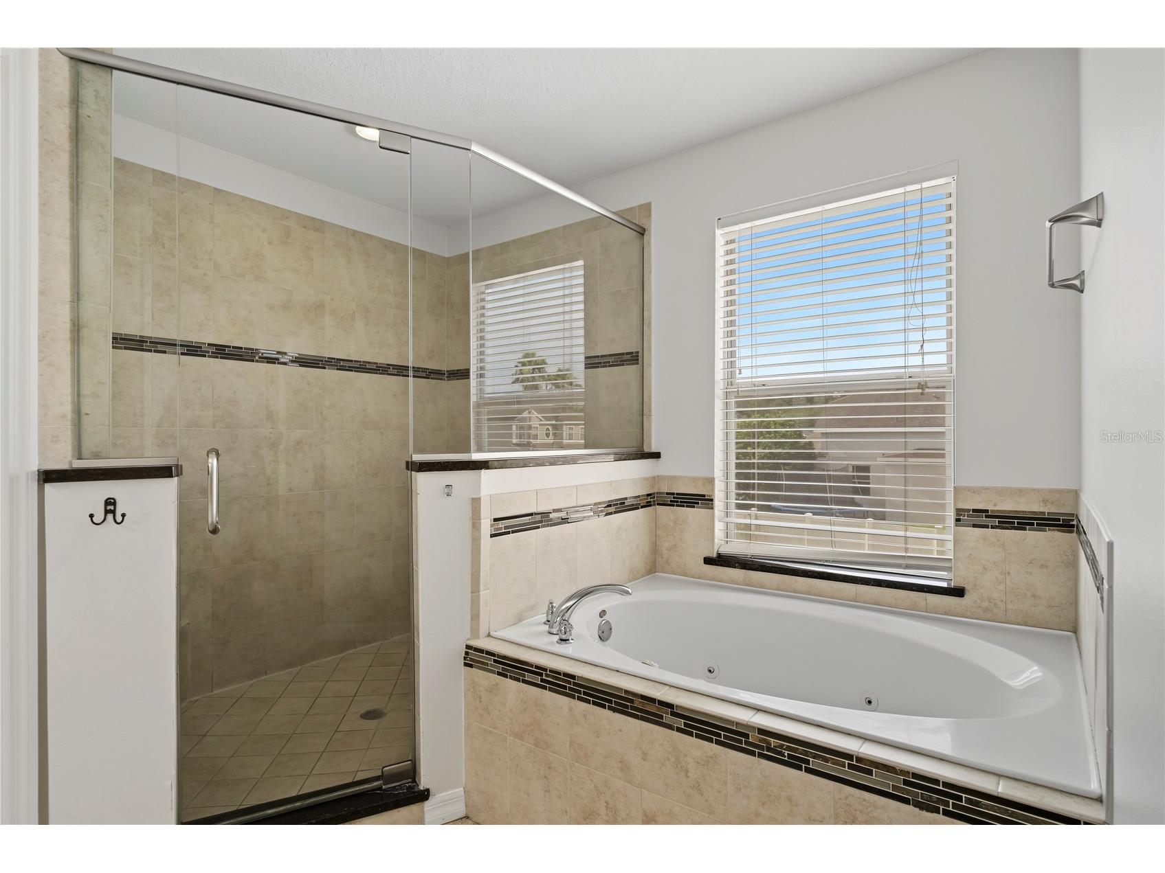 637 Grassy Stone Drive Winter Garden FL 34787 O6427944 image40