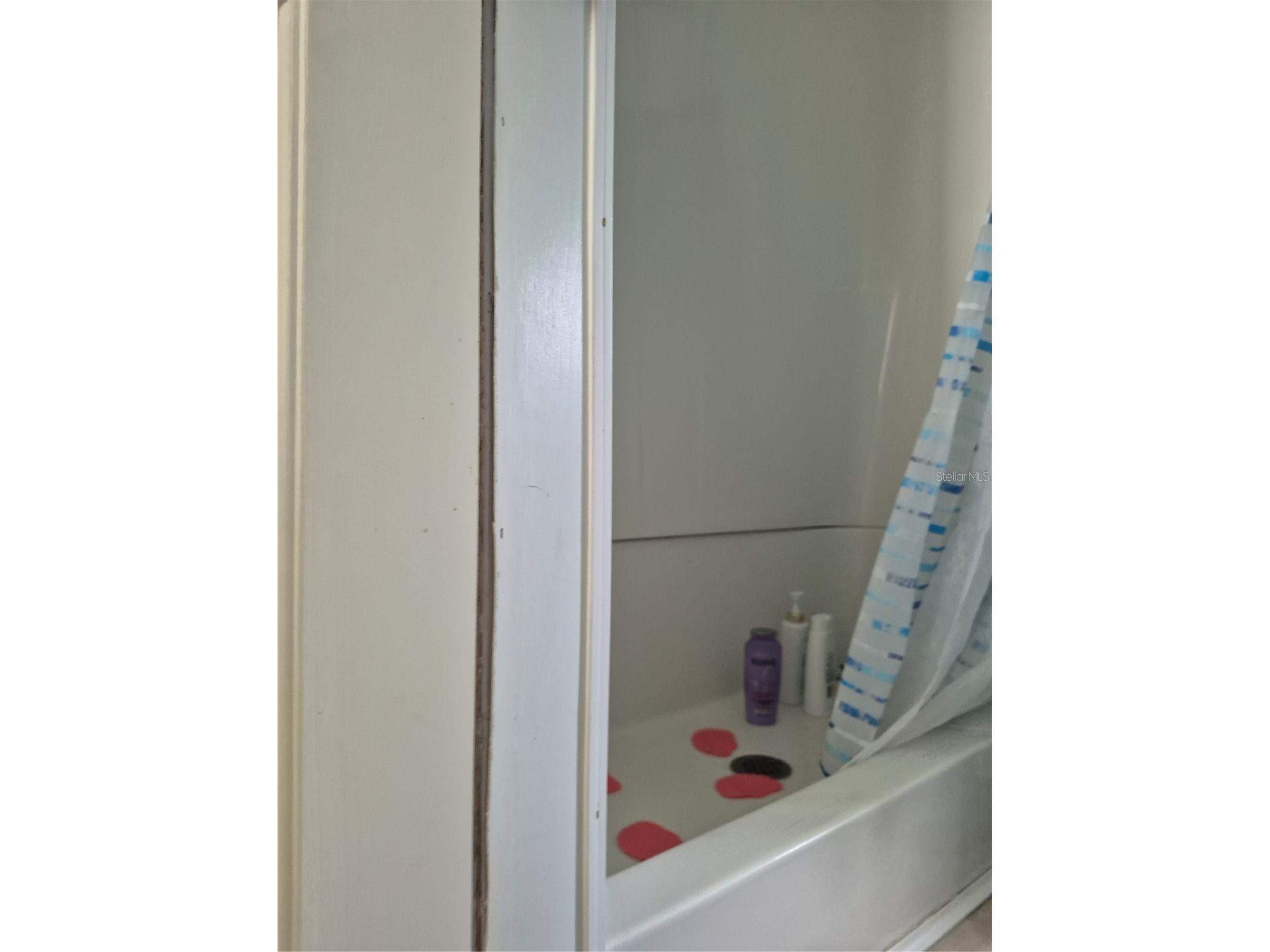 637 Misti Drive Leesburg FL 34788 G5110798 image17
