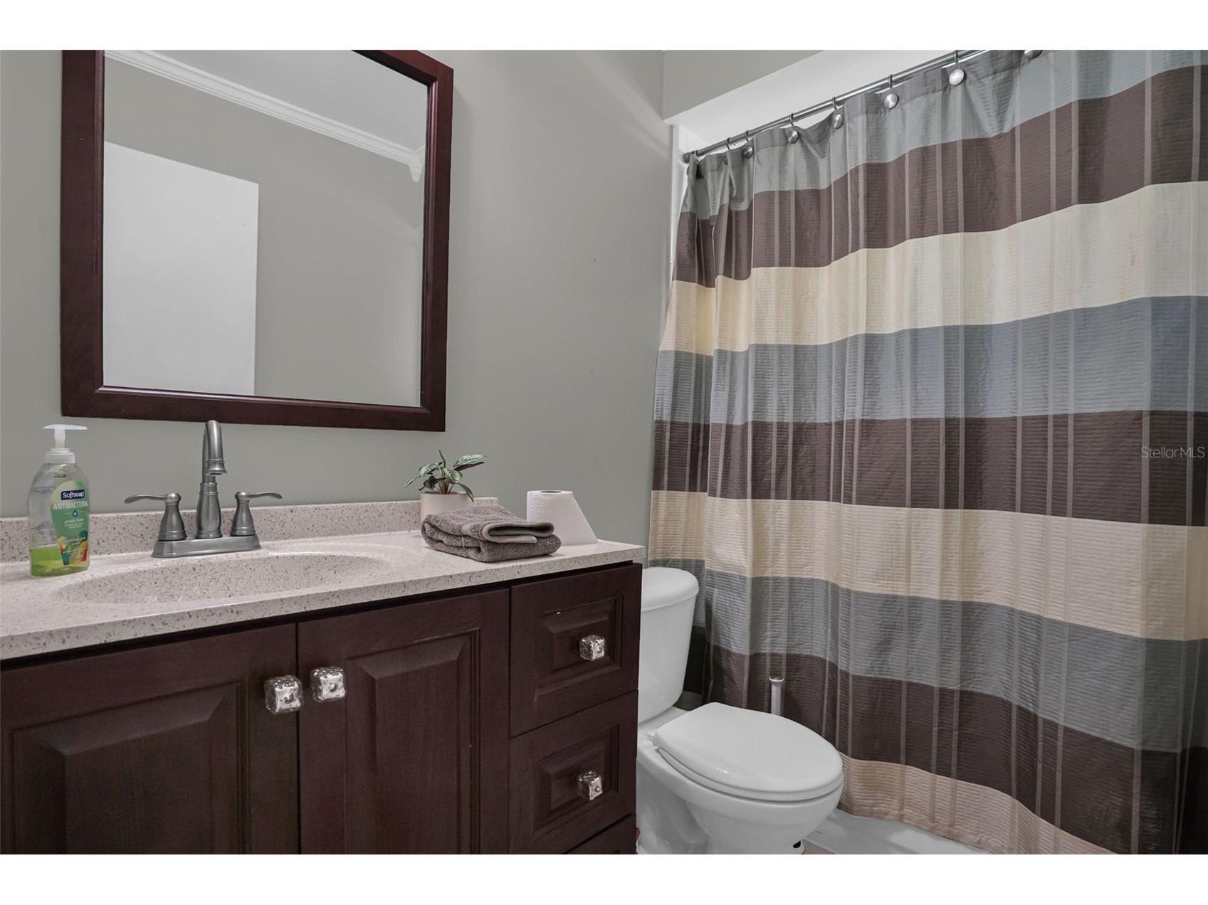 637 Moss Park Court Kissimmee FL 34743 O6419783 image18