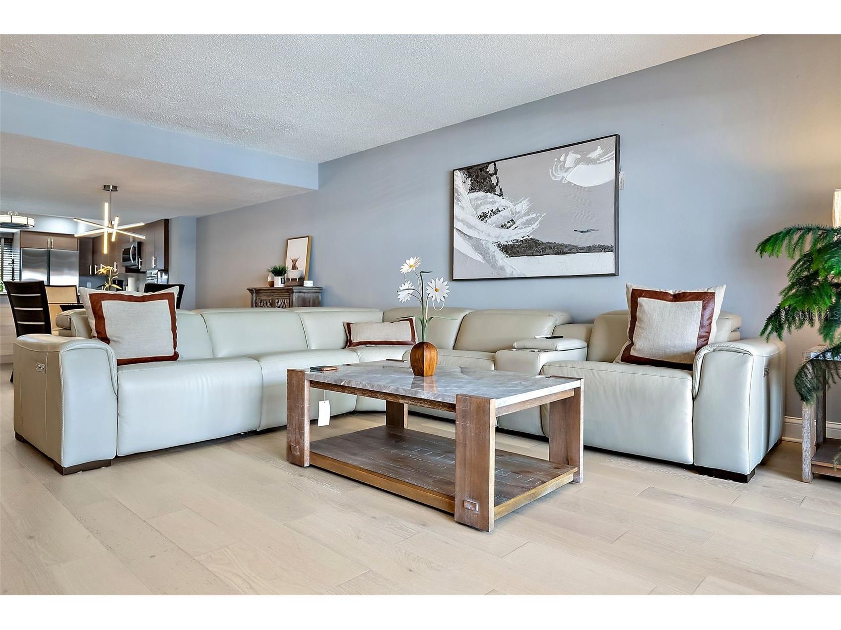 637 Pinellas Bayway S #207 Tierra Verde FL 33715 TB8505181 image12