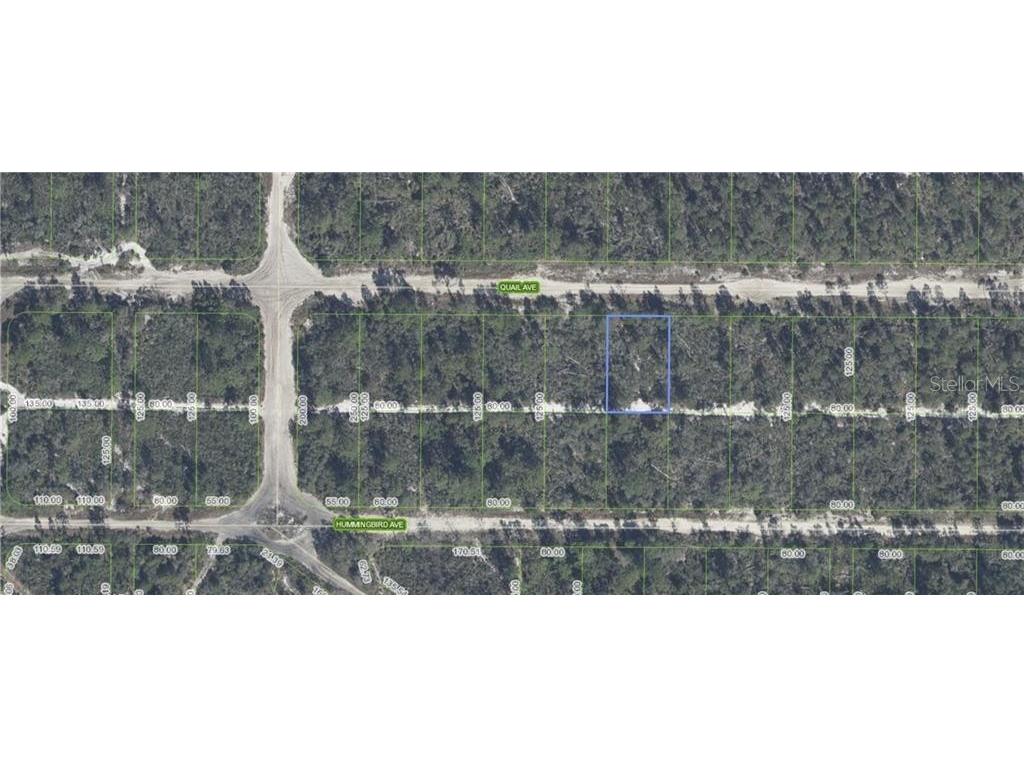 637 Quail Avenue Sebring FL 33872 L4960389 image3