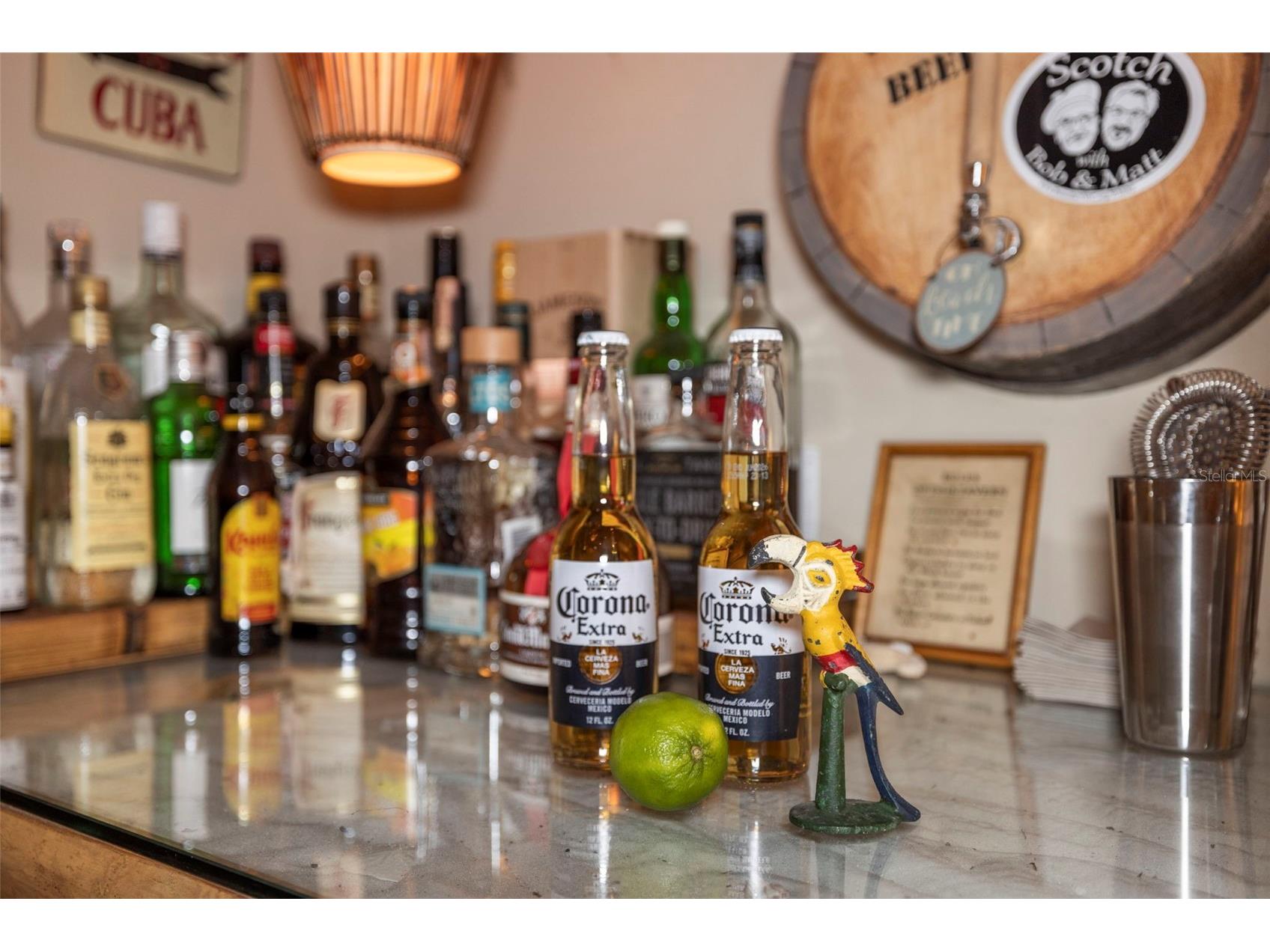 637 Scotland Street Dunedin FL 34698 TB8467478 image37
