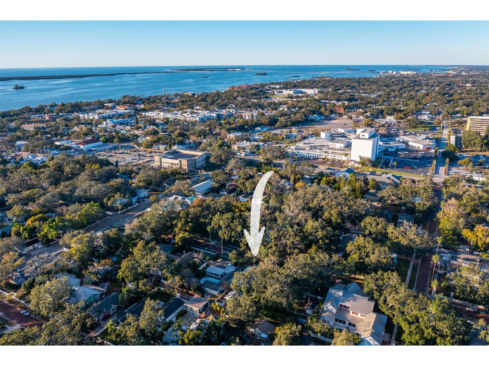 637 Scotland Street Dunedin FL 34698 TB8467478 image39