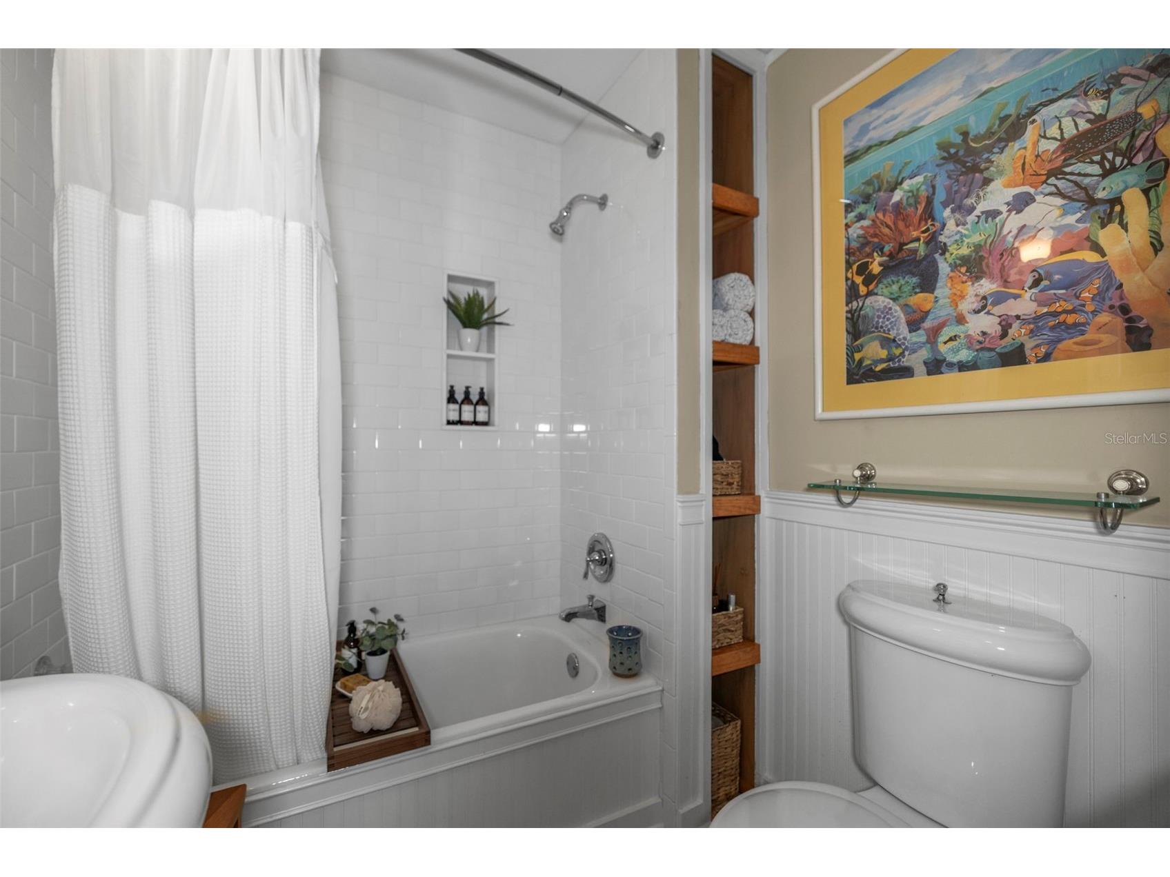 637 Scotland Street Dunedin FL 34698 TB8467478 image43