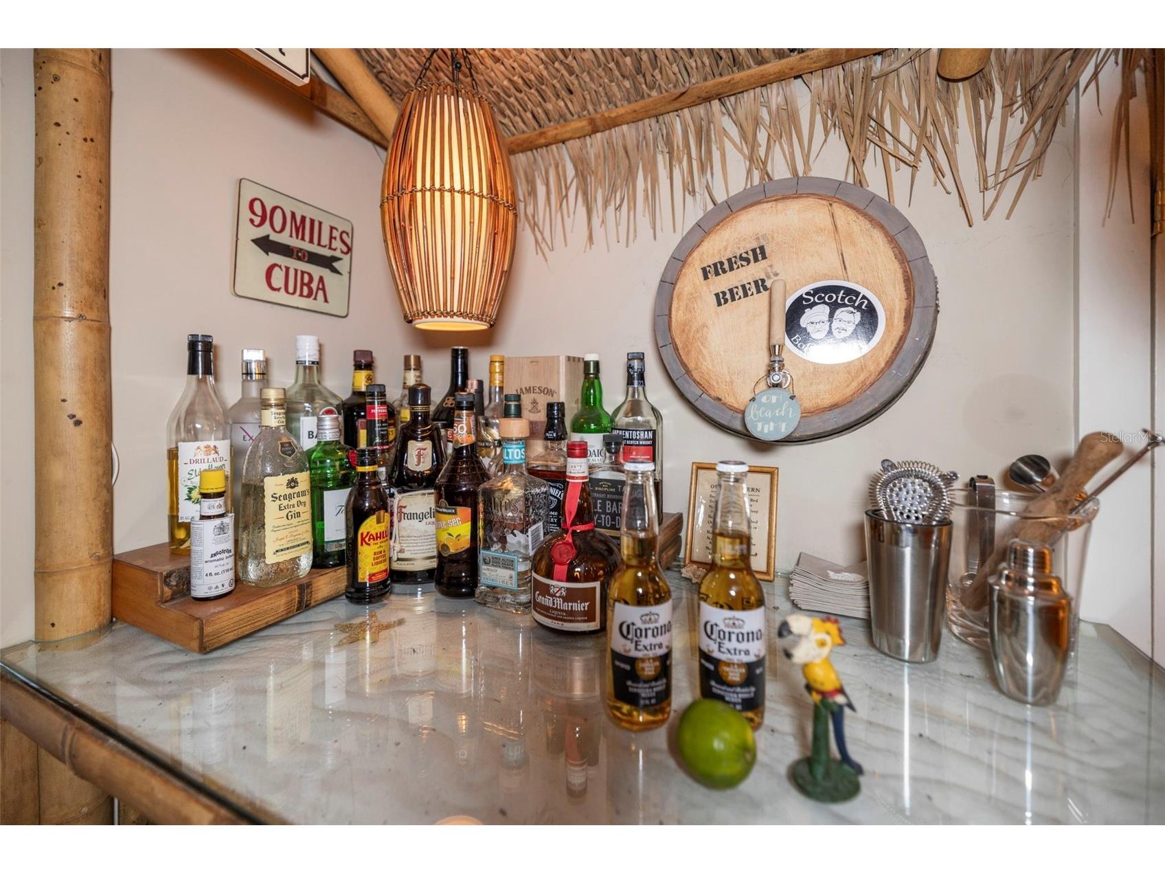 637 Scotland Street Dunedin FL 34698 TB8467478 image63