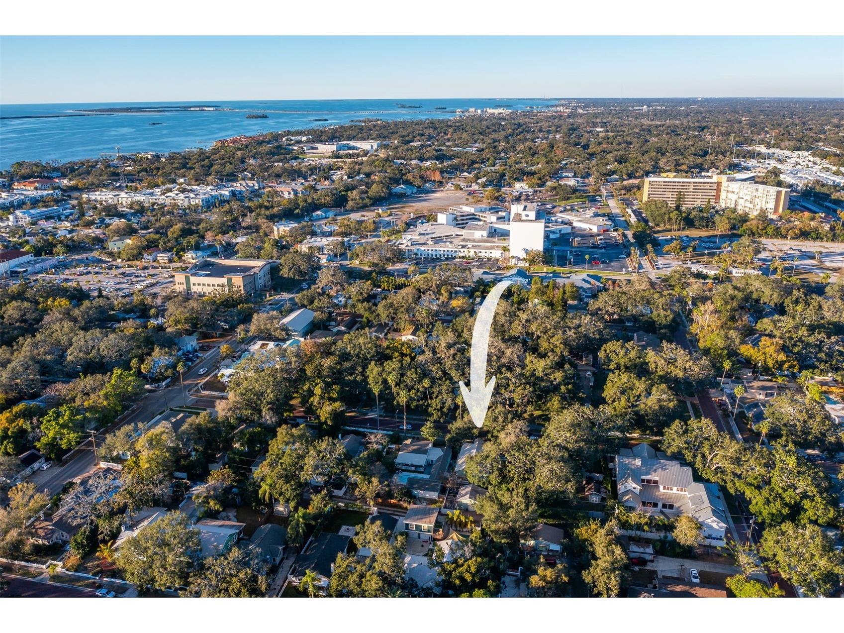 637 Scotland Street Dunedin FL 34698 TB8467478 image72