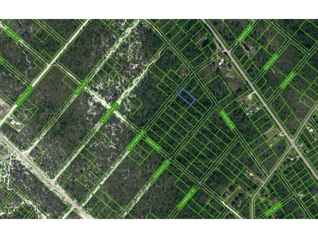 637 Strathmoor Street Lake Placid FL 33852 OM625665 image1